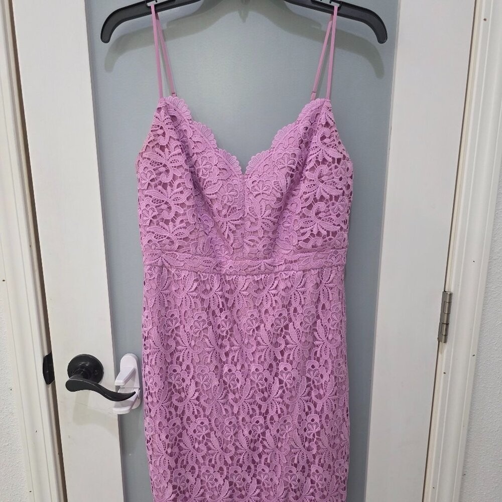 J.Crew Lavender Lace Dress Size 6 Scalloped V-Neck Zip Back Lined Cocktail